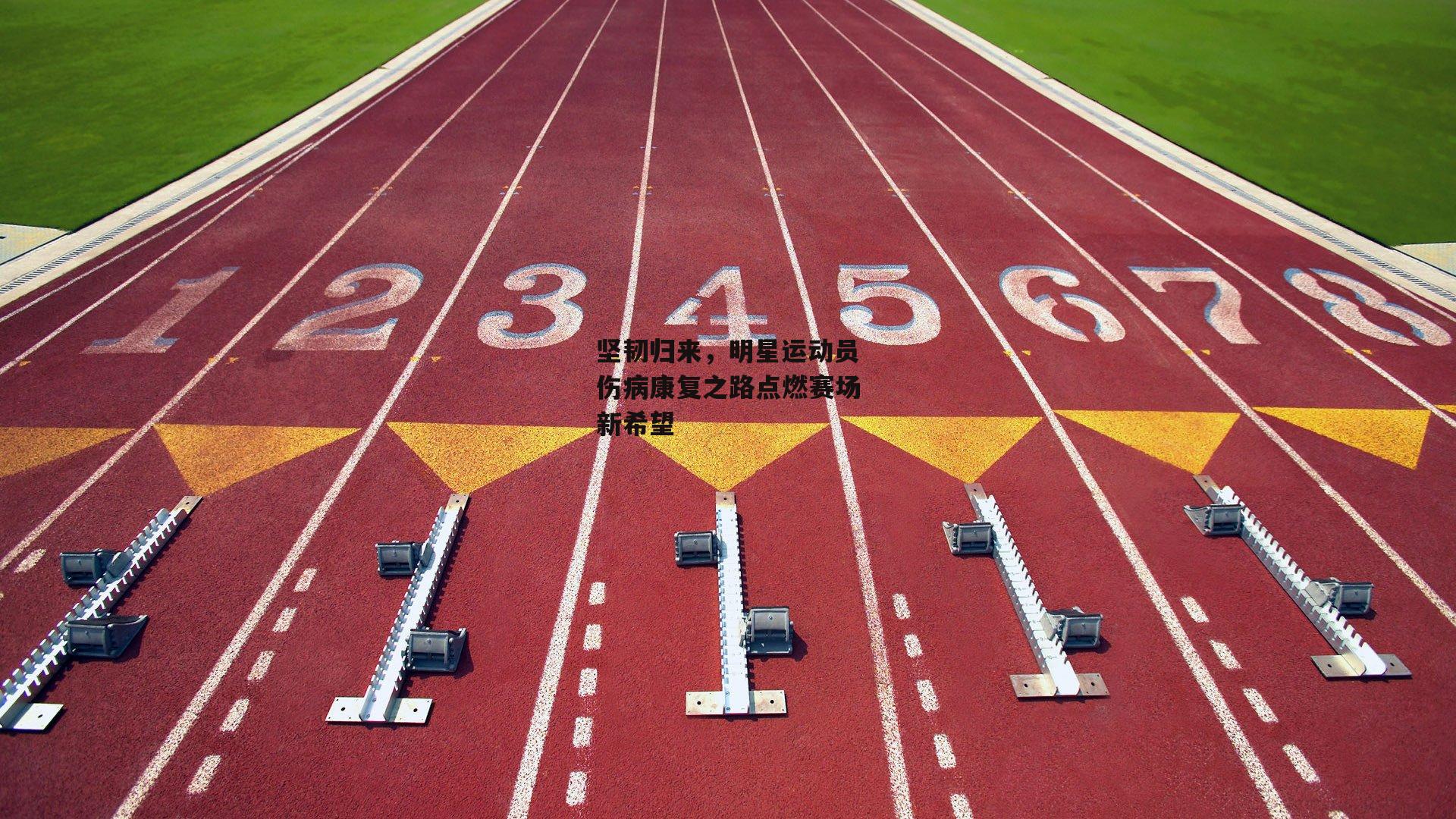 坚韧归来，明星运动员伤病康复之路点燃赛场新希望